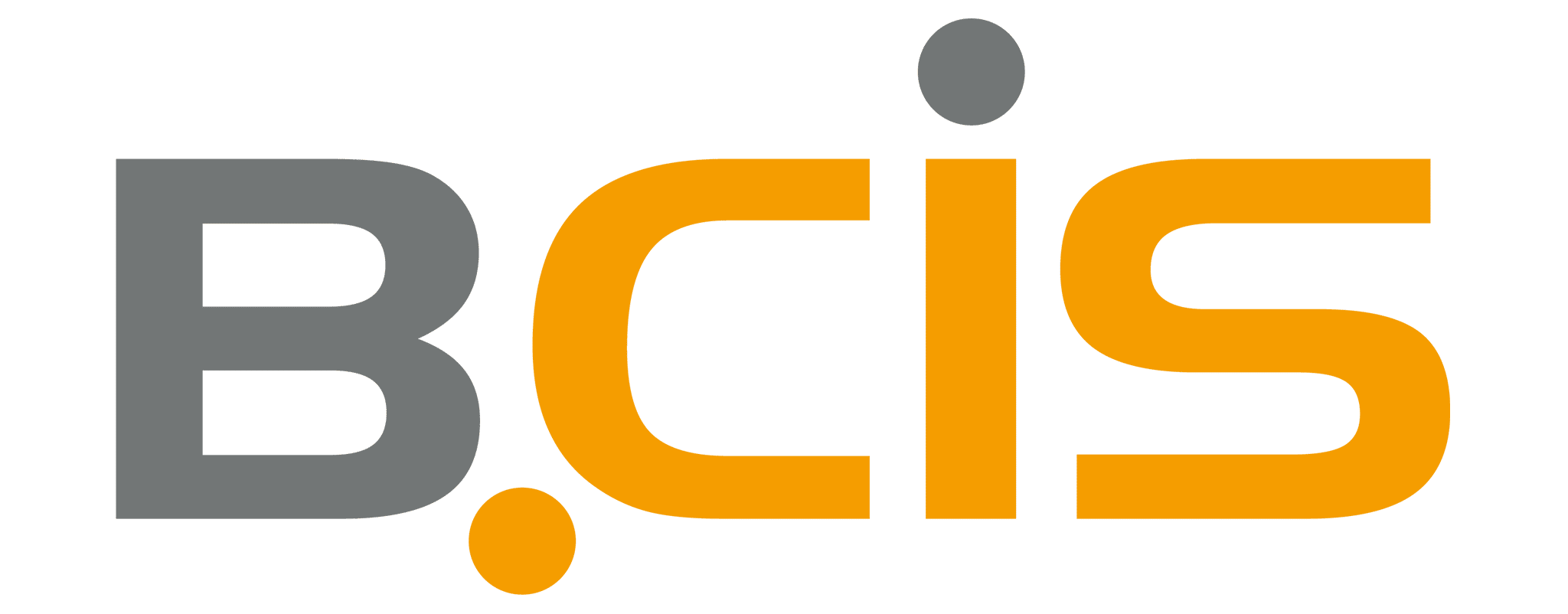 Logo - BCIS GmbH